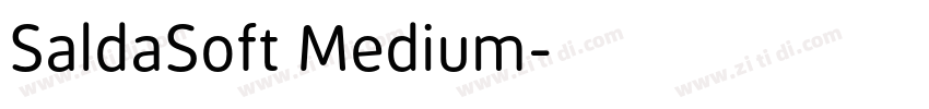 SaldaSoft Medium字体转换